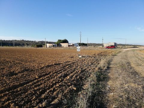 Land with more than 7.000 sqm Near a small villa call Tunes. Easy acess.