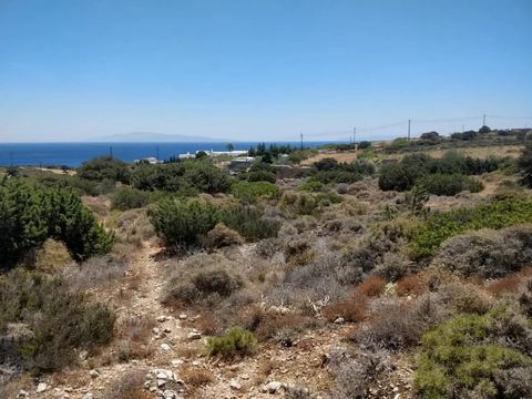 Plot of 31.000 sq.m for sale in Paros / Aspro Chorio area, only 500m from the beach with breathtaking views. A farm with a total area of ​​31 acres is for sale, of which 17 are clean. With two dilapidated stone houses of 110 square meters (40 + 70m2)...
