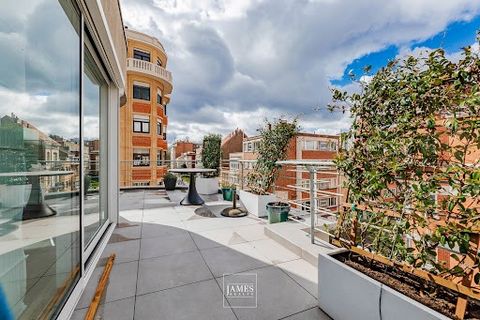 Very well located in a pretty, quiet street in the Place Brugmann district, on the top floors of a small modernist building, this delightful duplex penthouse is in very good condition and offers an extraordinary terrace. The first floor features thre...
