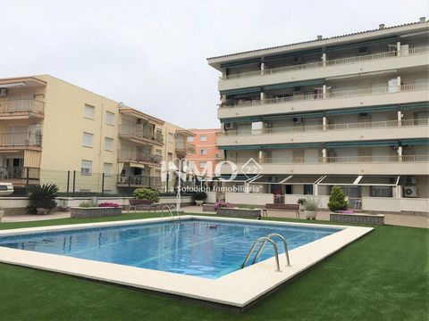 First floor 100 meters from the sea in the area of Horta de Santa María. The 55m2 apartment is distributed between a double bedroom, a cabin, a recently renovated bathroom, equipped kitchenette, living-dining room and terrace overlooking the communal...