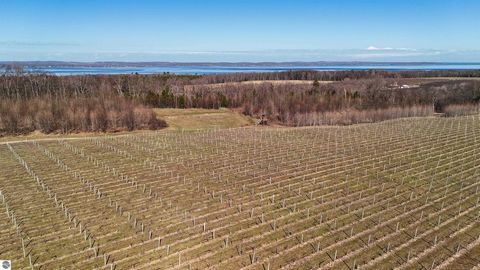 Perched majestically on the captivating terrain of Old Mission Peninsula, this sprawling 54.29-acre estate is a testament to the artistry of viticulture. A substantial 21 acres are dedicated to meticulously maintained vineyards, showcasing a remarkab...