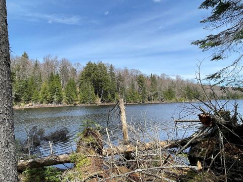 2 acres of flat and sloped land with over 350 feet of waterfront on Lake Édouard only 5 minutes from Morin-Heights. Enjoy the outdoors where you can observe the wildlife that surrounds you. Take your paddleboard, canoe or kayak from your property to ...