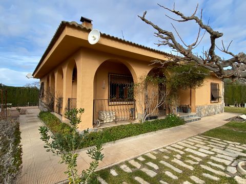 What a fabulous opportunity this is and what a great price at only 249,999€  In a superb location on the Pena Rubia side of Sax the property has complete privacy and is so tranquil yet there is a neighbour to one side and two across the road but set ...