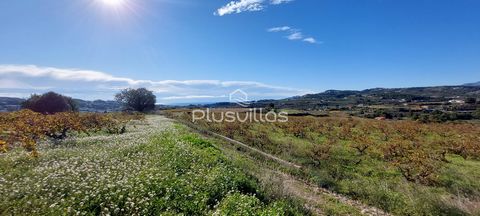 Rustikales Grundstück von 8.443m2 zum Verkauf in Teulada mit schönem Blick auf die Landschaft und das Meer. PlusVillas ist eine Referenz in der Immobilienbranche in Calpe, mit 50 Jahren Erfahrung in der Konstruktion, Design und Verkauf von Immobilien...