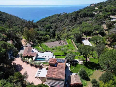 BARNES presenteert een exclusieve villa aan zee aan de Costa Brava, met directe toegang tot het strand, tuinen, wijngaard, zwembad, sportterreinen en een gastenverblijf, gelegen op 5 hectare grond. De villa, gerestaureerd in 2023, combineert traditio...