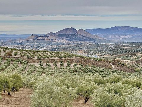 ¡Oportunidad de invertir en un olivar en Alfacar, Granada! Descripción de la propiedad: Se vende magnífico olivar en el término municipal de Alfacar, a menos de 10 minutos en coche de Güevejar. Esta finca cuenta con 20,843 m² (39 marjales) de terreno...