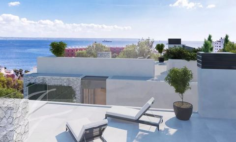 Are you looking for the ultimate luxury living experience in the Southwest of Majorca? Look no further than Bell Puig Villas, the newest construction project of Gigaron Spain nestled in the highly sought-after Ca’s Catala neighbourhood. This small co...