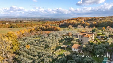 In a panoramic setting near Montepulciano, for sale three-story detached house with garden, olive grove, garage and two annexes. Nestled in a charming corner of the Val di Chiana region, south of Siena, this property is surrounded by a fenced garden ...