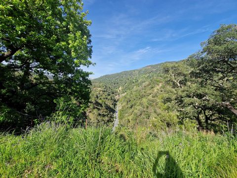 If you have always dreamed of building your nature retreat, this is your opportunity. We offer a stunning parcel of land for sale in an exceptional natural setting. Key Features: -23,177 square meters. -Idyllic Location: This plot is located in a qui...