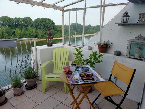 photo no. 8