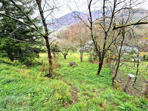 Tarn (81) for sale building land in Vabre. Albi 50km or 1h, Toulouse 100km or 2h, Beziers 110km or 2h10, Montpellier 160km or 3h. This very well exposed land benefits from a town planning certificate for a wooden house of 50m². Soil study carried out...