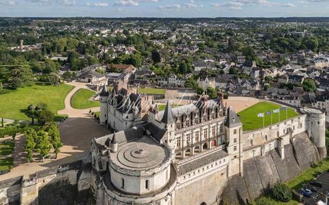 En OFF marcket à saisir rapidement, Propriété XIXème avec dépendances au total 650 m2 à restaurer totalement, en plein centre d'Amboise à quelques pas du château royal. Idéal pour projet hôtel restaurant, ou location touristique, appartements, vente ...