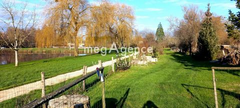 photo no. 12