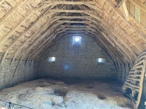 photo no. 5