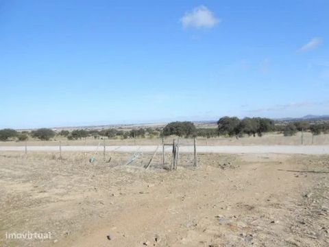 Land with 7,075 ha near the banks of the Alqueva in the area of Campinho. The land is partially fenced (about 90% of its area), has feasibility of construction, much tourist potential due to the proximity of the banks of the Alqueva (or even for hous...