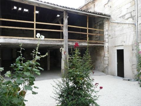 photo no. 4