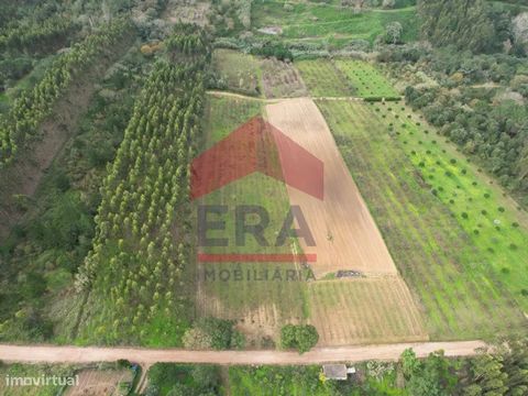 Rustiek land gelegen in A dos Negros, Óbidos. Met een totale oppervlakte van 9.520m2 heeft het een wijngaardcultuur en een bron met water het hele jaar door. Ongeveer 2 km van het centrum van de stad en met goede toegang, dicht bij de EN115 en A15 en...