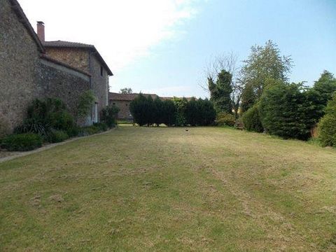 photo no. 10