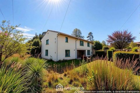 Maison - 181m² - Moltifao