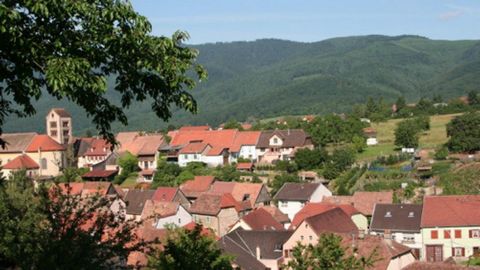 Terrain 1000 m² Libre d'architecte !