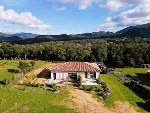 Secteur SArténe - Maison contemporaine