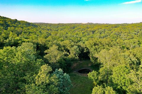 Timber Trails 30 is located along Missouri's southern border with incredible diversity for its size and location, this property will fit a wide variety of needs. If you are looking for a place to build a house or a cabin, this property boasts several...
