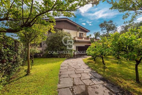 Villa Elisa is an independent property and is located in Vallecchia, in a strategic position a short distance from the center of Pietrasanta and about 5 km from the beaches of Versilia. The villa is divided as follows: on the first floor there is an ...