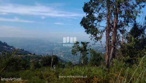 Land for Sale with a ruin. It offers panoramic views and is situated near the centre of Cinfães Village. Cinfães. Ref.: MC08997 FEATURES: Land Area: 2 400 m2 Area: 2 400 m2 Useful Area: 2 400 m2 Energy Efficiency: Exempt ENTREPORTAS Founded in 2004, ...