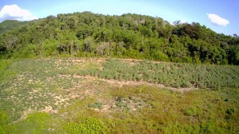 For sale Finca of 431.5 Tasks with title and Demarcation Next to the Charco del Arroyaso