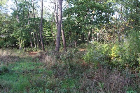 Great plot of constructible land. Water, electricity, telephone line, and mains drainage already in place. The plot is situated in a quiet residential lane on the edge of a village just minutes away from Gaillac. Oaks and pine trees have been left in...