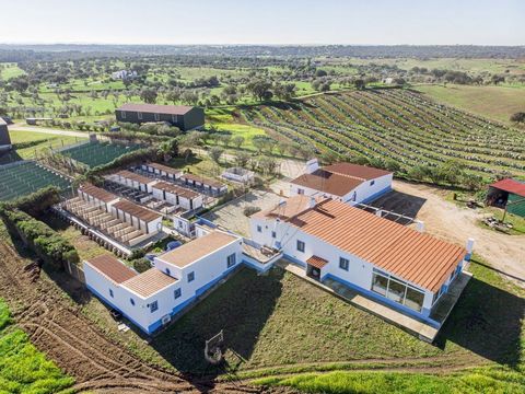 Description Unique and exclusive property located in a village about 15 minutes from Évora and 1h30m from Lisbon. This farm, composed of different elements for the production of a varied possibility of crops, has as its main activity that of canine h...
