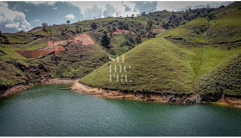 Spectacular lot of 10,000 m2 has a beautiful panoramic view, mixed topography and direct access to the dam. With Sumer you can build the house of your dreams!