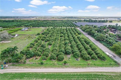 5 ACRE BUILDABLE SITE WITH INCOME GROVE IN REDLAND. THIS PARCEL IS GROWING A RARE AND HIGHLY SOUGHT AFTER VARIETY.....BIEW KIEW LONGANS... OUT OF THAILAND.. (SWEET & TASTY.). A CORNER PARCEL THAT GOES STREET TO STREET. HIGH AND DRY IN A RURAL AREA WI...