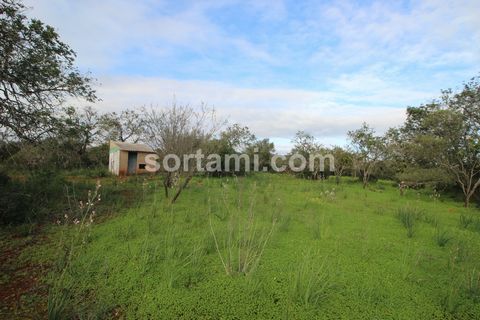 Rustic land with 27480m2, in Silves. One of the main features of this land is the water hole, with this advantage, you will have irrigation for your plantation, supply a possible agricultural project or even create a lake for recreational use. The pr...