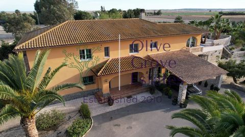 Geniet van de ontzagwekkende schoonheid van deze luxe villa, ontworpen door een Zwitserse architect en gebouwd met hoogwaardige materialen geïmporteerd uit Duitsland. Vanaf het moment dat u binnenstapt, zult u gefascineerd zijn door de naadloze stroo...