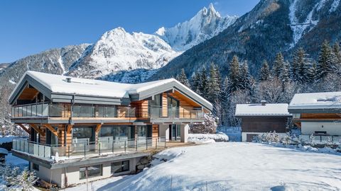 Located in the heart of Les Praz, this 245 m2 chalet combines alpine charm with modern design features. Recently built, this property offers the perfect combination of contemporary comfort and mountain authenticity. The light rooms create a welcoming...
