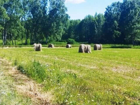 Участок с правом прописки. Местонахождение - Ясногорский район. 95 км от МКАД, между Каширской и Симферопольской автострадами, также удобно добираться общественным транспортом. Развитая инфраструктура: школа, детский сад, магазин. Поселок находится в...