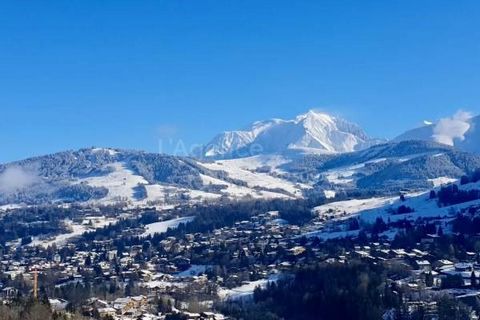 Chalet of 145 m2 - Garden of 900 m2 - 4 bedrooms - 4 bathrooms - Garage Very pretty alpine chalet in old wood enjoying a beautiful view of the Mont Blanc Massif. This traditional chalet, built in 2005, is located very close to the departure points fo...