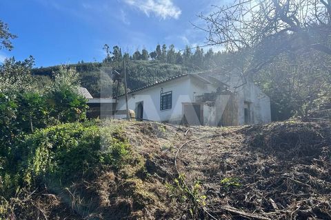 Mixed land with 62,000 m2 and house to recover of 56 m2, located just 10 minutes from Monchique in a quiet area and surrounded by green space. It has electricity through battery-managed solar panels. Consisting of a large garden area, with orange and...