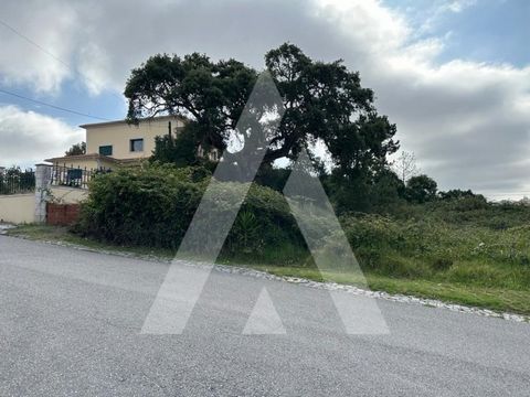 Urban land intended for construction with views Castle, total area of 2,220 m² in Marrazes, Leiria. Favorable location, with commerce and services nearby and only 4 min from the access node to the N1. According to the PDM in force (2015), the buildin...