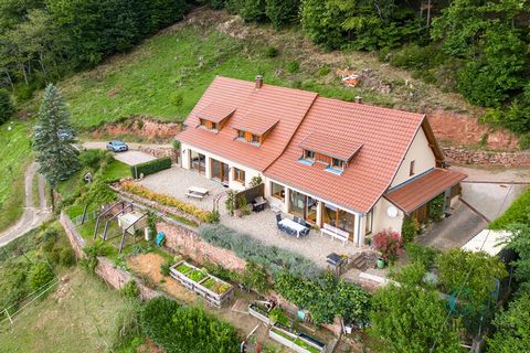 Located 15 minutes from Sélestat, on the heights of La Vancelle (67), this 40-acre property is located on the edge of the national forest. It houses a villa of 278 m2 divided into two bright dwellings that offer a view of the Haut-Koenigsbourg and th...