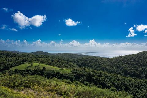 Spectacular, dramatic and buildable parcels consisting of 14.8 acres located on the North side of the West end of St. Croix where the cerulean waters are crystal clear and the beaches are sandy. These private ridge line homesites are ideal for sunset...