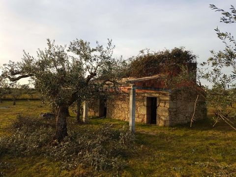 Rustikales Grundstück mit 8250 m2, in der Nähe der Stadt Tinalhas. Grundstück mit herrlicher Aussicht, guter Zugang, gekennzeichnet durch das Vorhandensein von etwa 160 Olivenbäumen, 1 Orangenbaum, 1 Brunnen und einer Ruine... Sorgfältiges Anwesen, i...