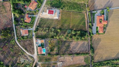This land with a total area of 2560.000 m2, with possibility of construction is located just 5 minutes from Torres Vedras. Good accesses, public transport, centrality, rural and proximity of: Banks Clinic, Schools, Hospital, Kindergartens, Bakery and...