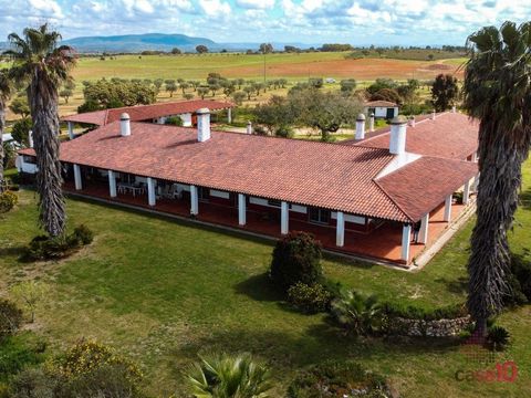 We present the magnificent Herdade da Boavista, located in the picturesque Vila Nova de São Bento, a haven of tranquillity and natural beauty. This property extends over approximately 100 hectares of fertile land, with an imposing villa of 550 square...