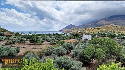 Piękny dom na sprzedaż na wyspie Syros, oferujący przestronne wnętrza o powierzchni około 180 metrów kwadratowych, zainstalowany na przestronnej przestrzeni około 330 metrów kwadratowych. Ta willa jest idealnie położona między portem a wioską, oferuj...