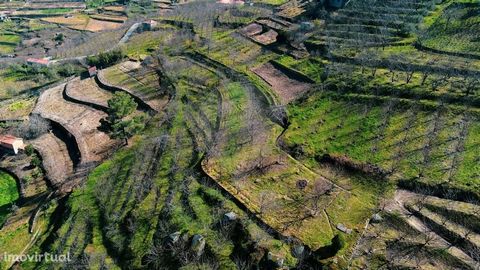 Agricultural land with fruit trees and own water, good sun exposure. It is located 10 minutes from the river beach of Porto de Rei on the Douro River and the same distance from the nautical pier, the village of Resende is at the same distance. The ci...