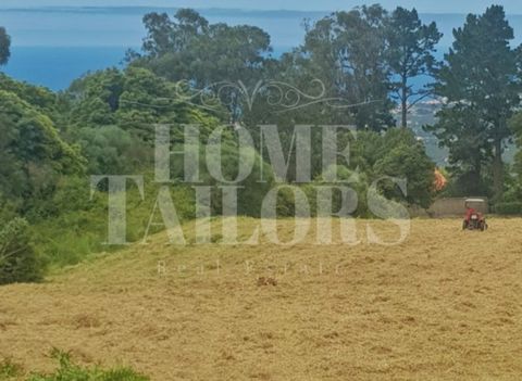 This rustic land located in necklaces, in the vicinity of Cabo da Roca, has a total cultivation area of 11640m2 and 250 m2 of area for building space to support the exploration business that is intended to be implemented here - agricultural productio...