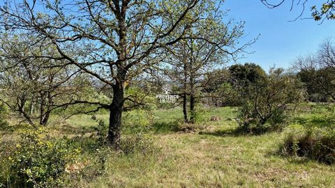 Our real estate agency, Provence Home, in Oppède, is offering for sale a beautiful 3000-sqm building plot with an authorized footprint of 30% and a PLU in force. Without being isolated, in a calm and bucolic environment, the tree-lined south-facing l...