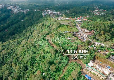 Unlock Kintamani’s Potential: Premier Land 13,5 Are for Visionary Commercial Development Price: IDR 5,481,000,000 Until 2082 Here’s a unique chance to shape the future in Kintamani, Bali’s heart. With a tag of IDR 5,481,000,000, this leasehold plot s...